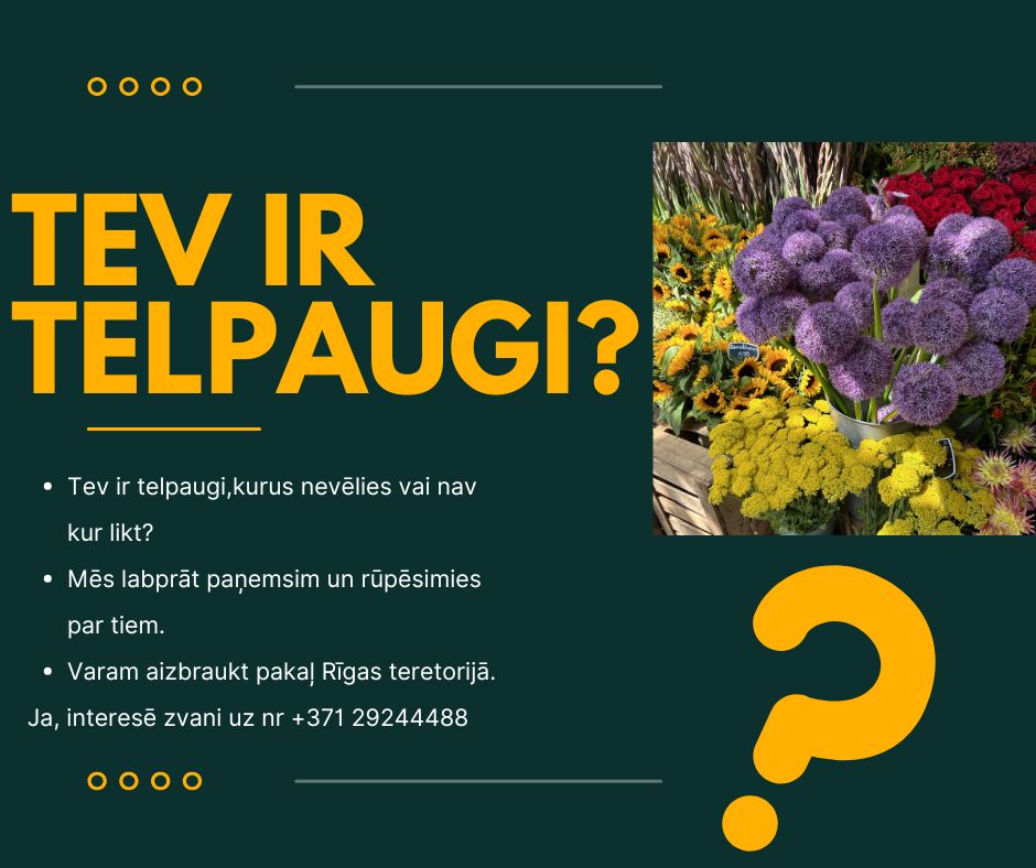 telpaugi_kipsala.jpg